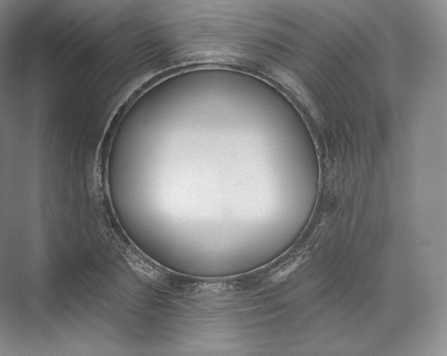 X0000073500883200608140905