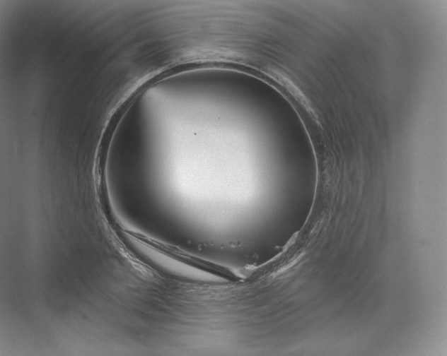 X0000073500885200608140905