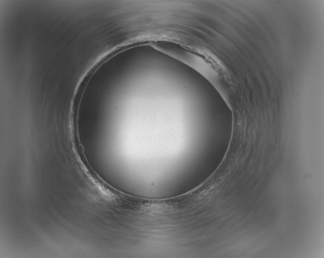 X0000073500894200608140905