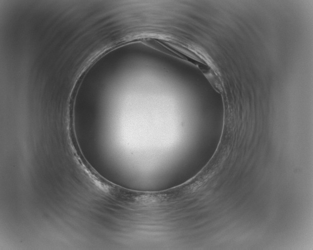 X0000073500898200608140905