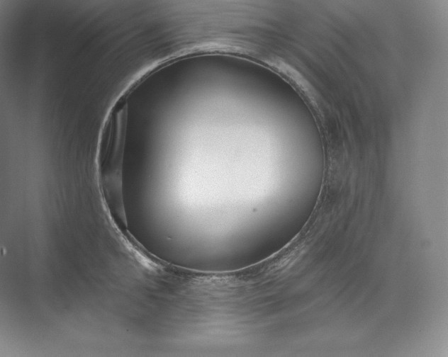 X0000073500902200608140905