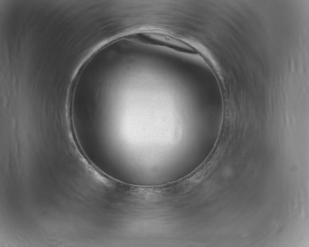 X0000073500910200608140905