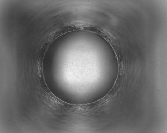 X0000073500917200608140904