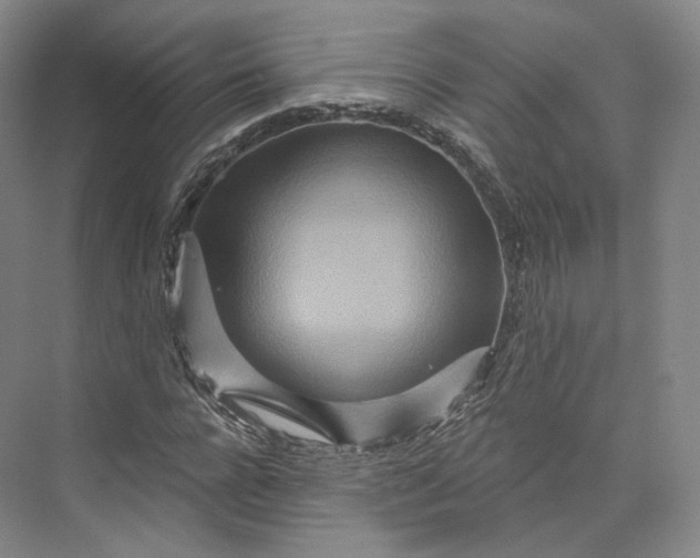 X0000073500920200608140904