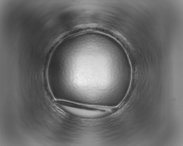 X0000073500921200608140904