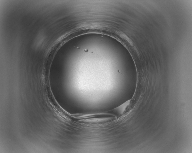 X0000073500922200608140904