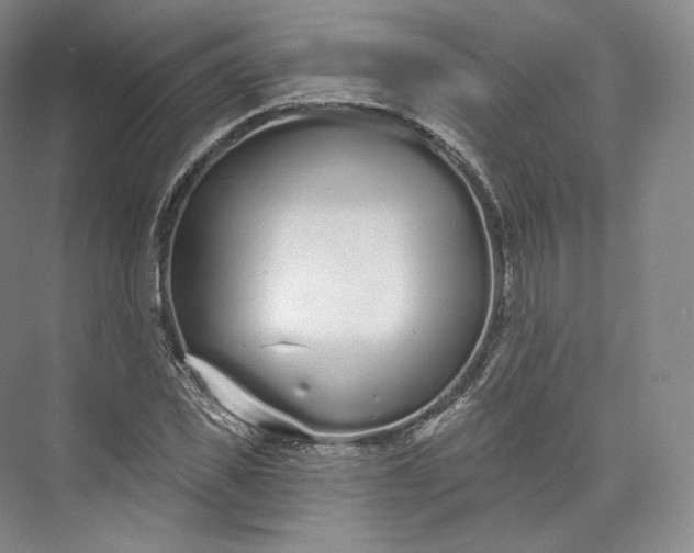 X0000073500925200608140904