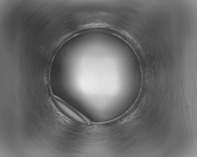 X0000073500929200608140904