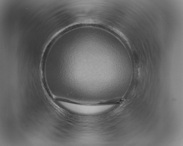 X0000073500935200608140904