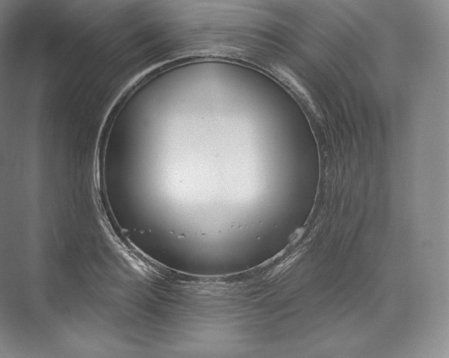 X0000073500940200608140904