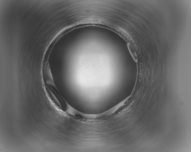 X0000073500942200608140904