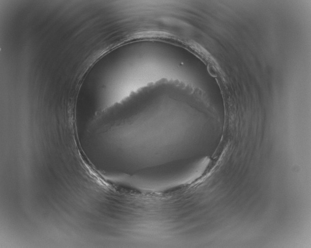 X0000073500945200608140904