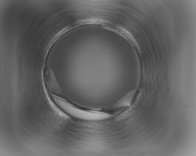 X0000073500946200608140904