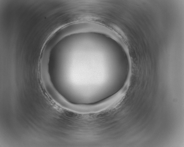 X0000073500948200608140904