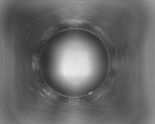 X0000073500964200608140904