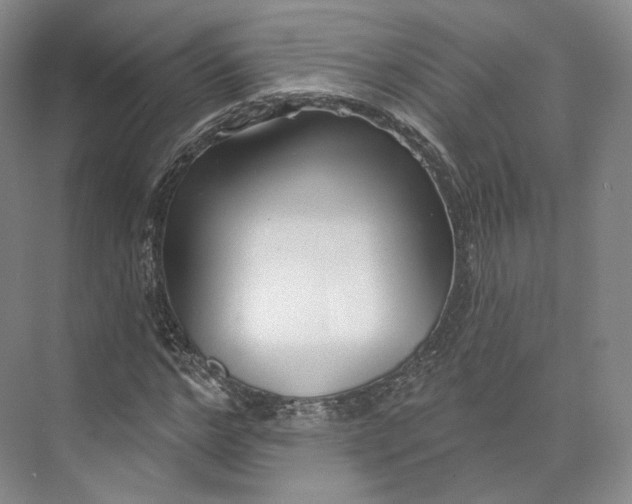 X0000073500968200608140904