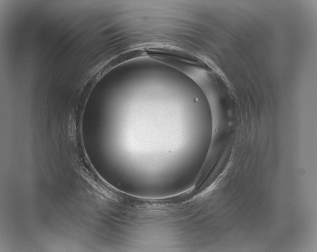 X0000073500969200608140904