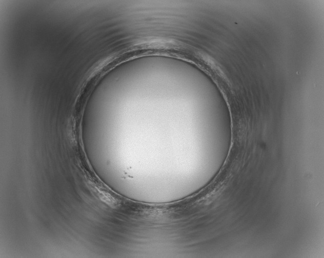X0000073500970200608140904