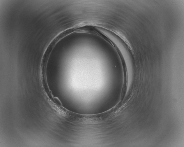 X0000073500976200608140904