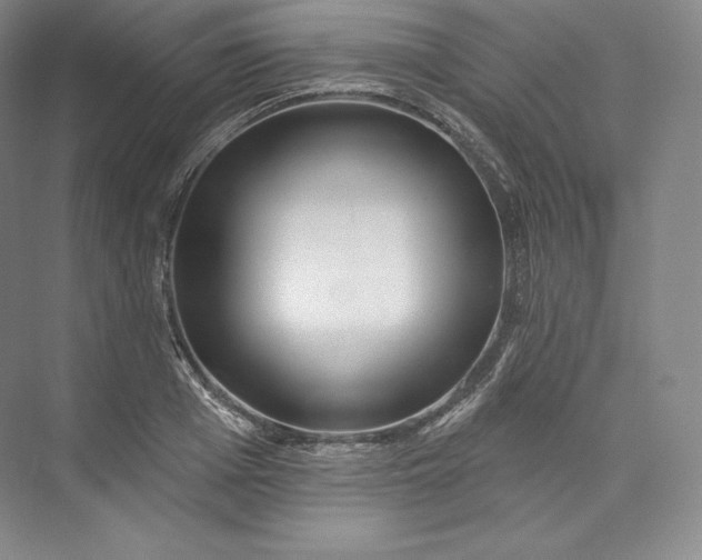 X0000073500985200608140903