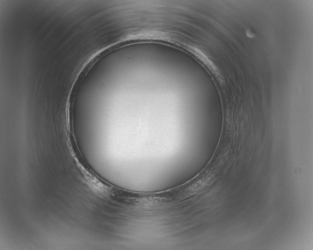 X0000073500988200608140903