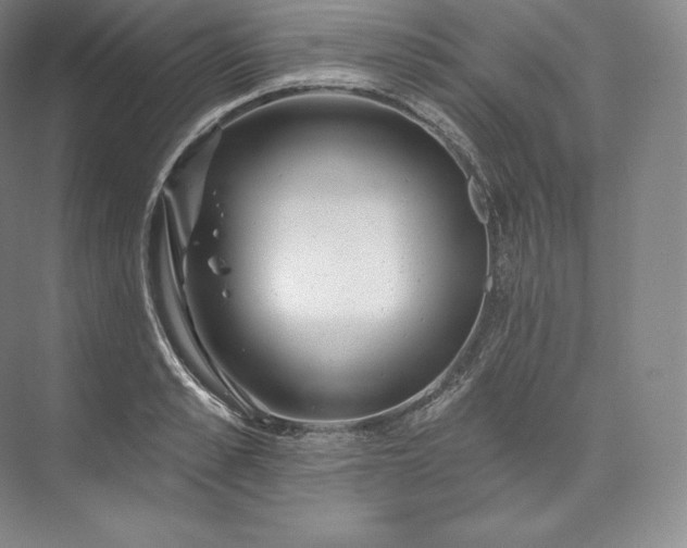 X0000073500989200608140903