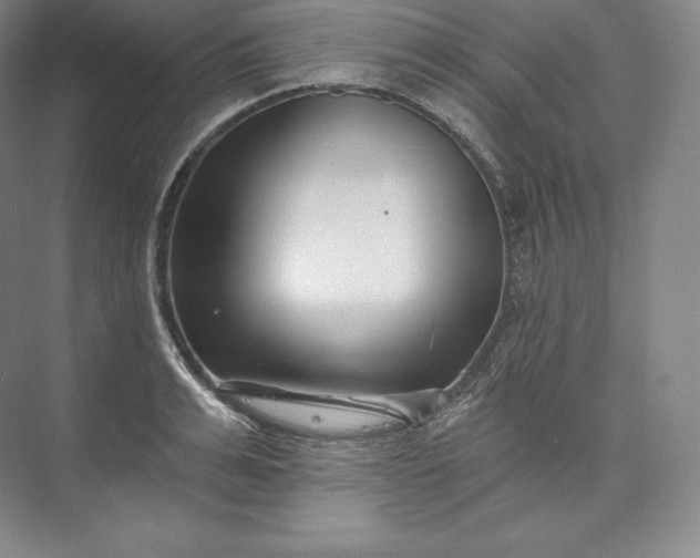 X0000073500991200608140903