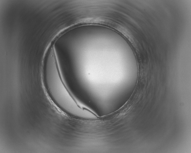 X0000073500992200608140903