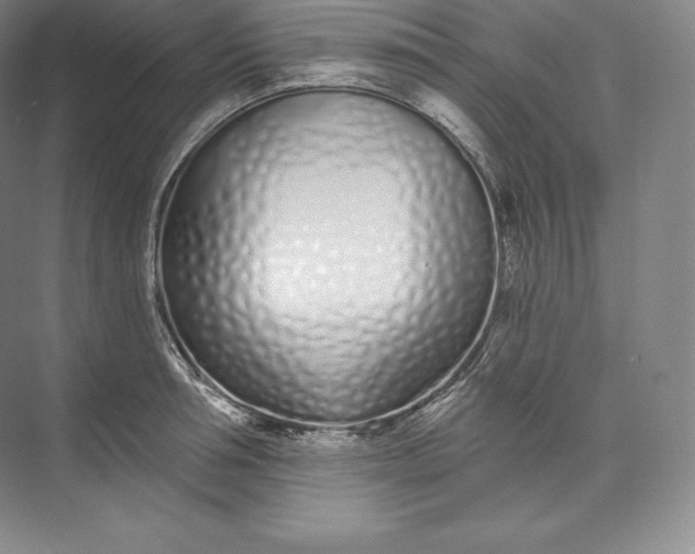 X0000073500994200608140903