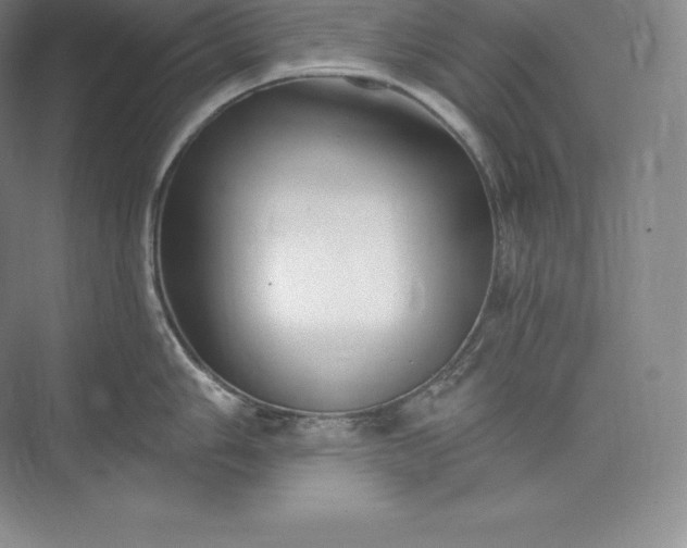 X0000073501006200608140903