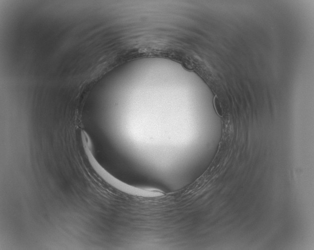 X0000073501012200608140902