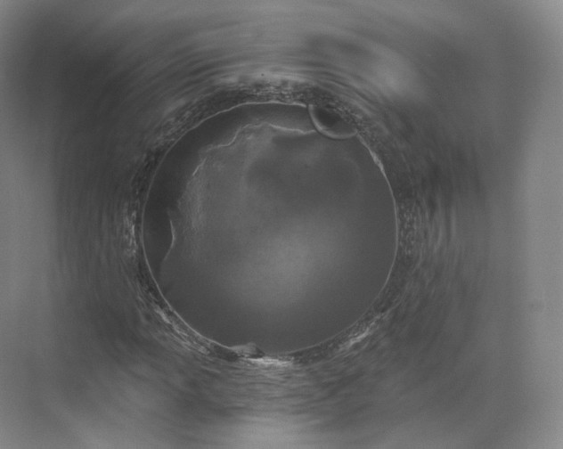 X0000073501013200608140902