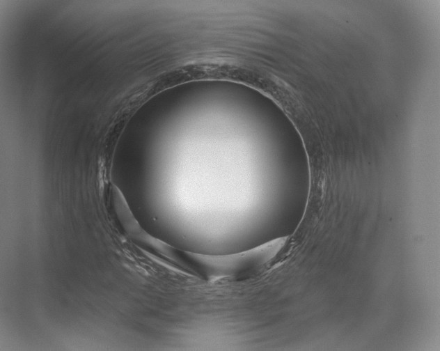 X0000073501014200608140902