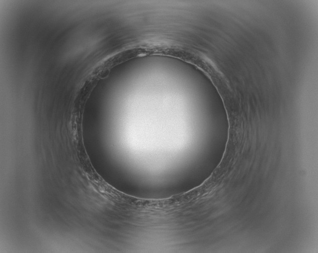X0000073501016200608140902