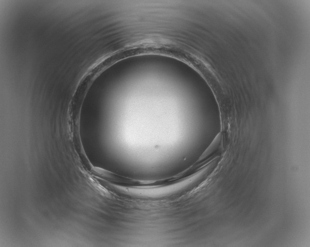X0000073501018200608140902