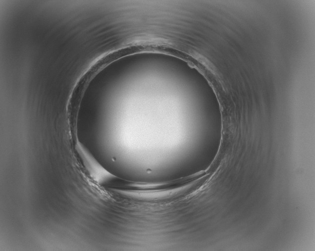 X0000073501022200608140902