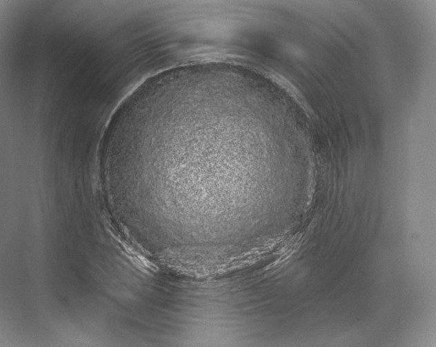 X0000073501023200608140902
