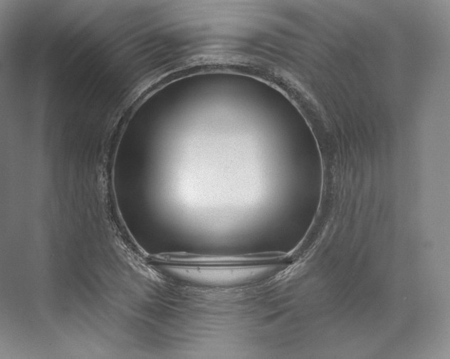 X0000073501025200608140902