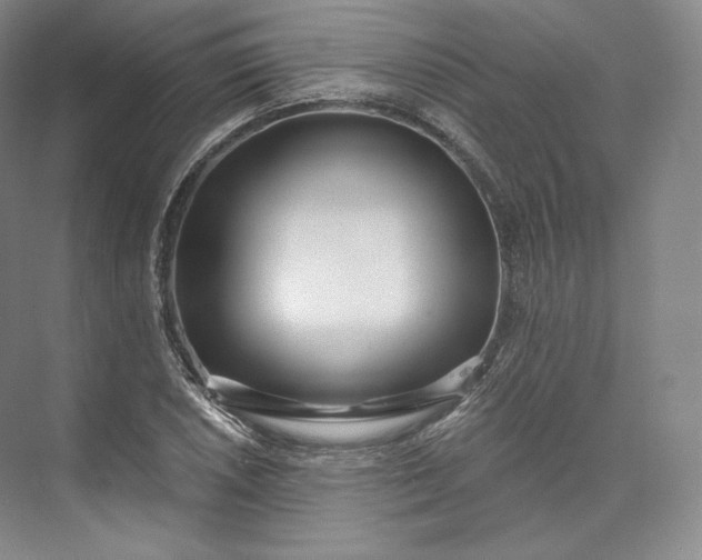 X0000073501026200608140902