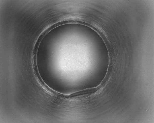 X0000073501029200608140903