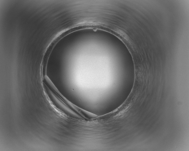 X0000073501030200608140903