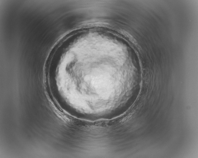 X0000073501031200608140903