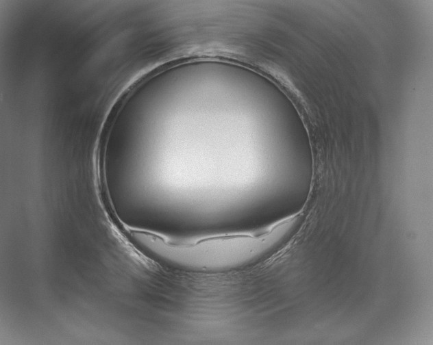X0000073501032200608140903