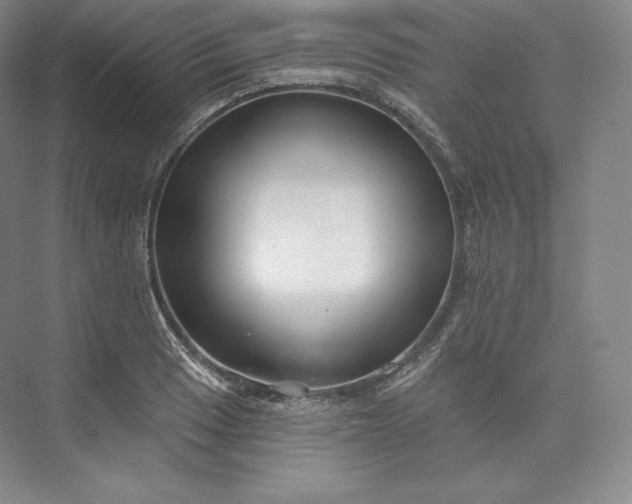 X0000073501033200608140903
