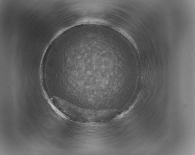 X0000073501037200608140903