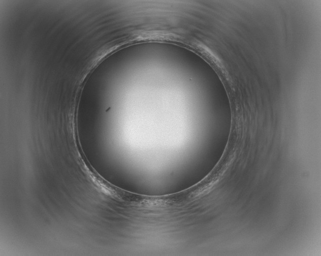 X0000073501041200608140903