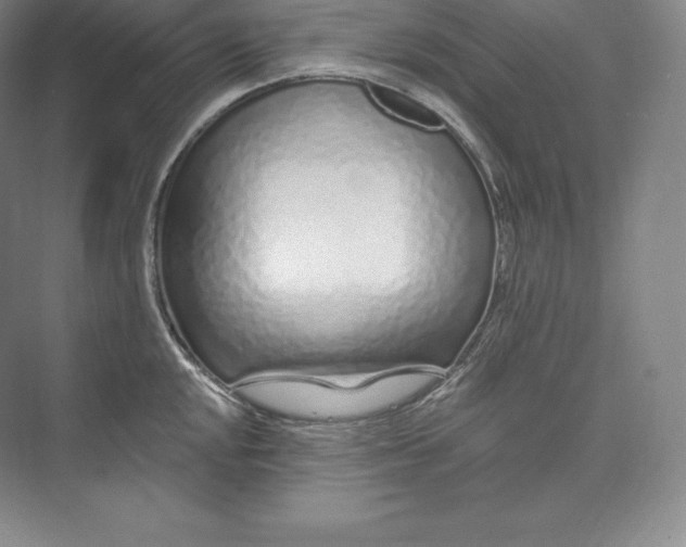 X0000073501048200608140903