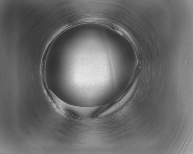 X0000073501050200608140903