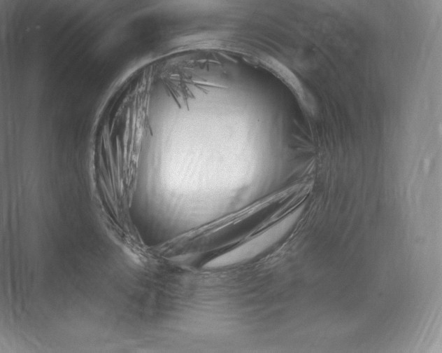 X0000073501051200608140903
