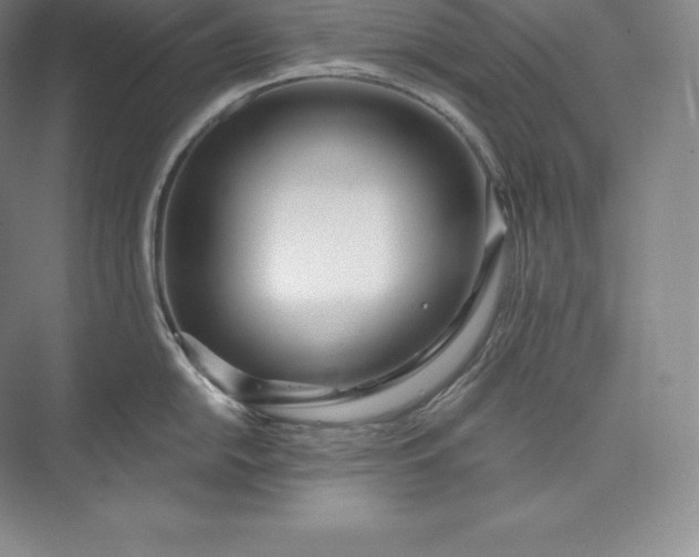 X0000073501054200608140903